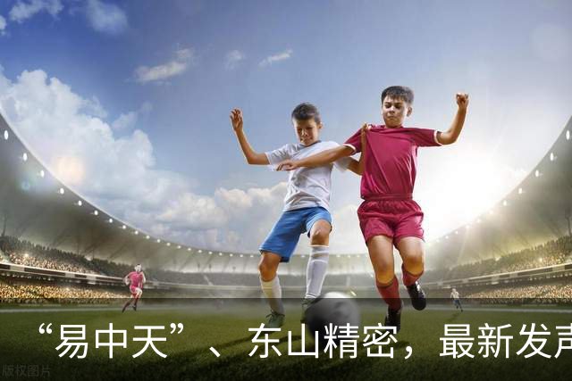 “易中天”、东山精密，最新发声！