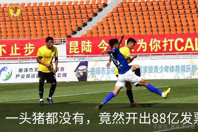 一头猪都没有，竟然开出88亿发票！广西南宁这家公司涉案爆雷