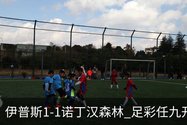 伊普斯1-1诺丁汉森林 足彩任九开240注40215元