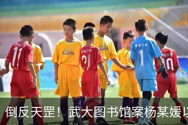倒反天罡！武大图书馆案杨某媛以受害者身份被写入教材！