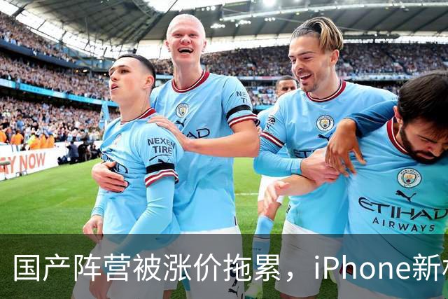 国产阵营被涨价拖累，iPhone新机中国销量增长29%