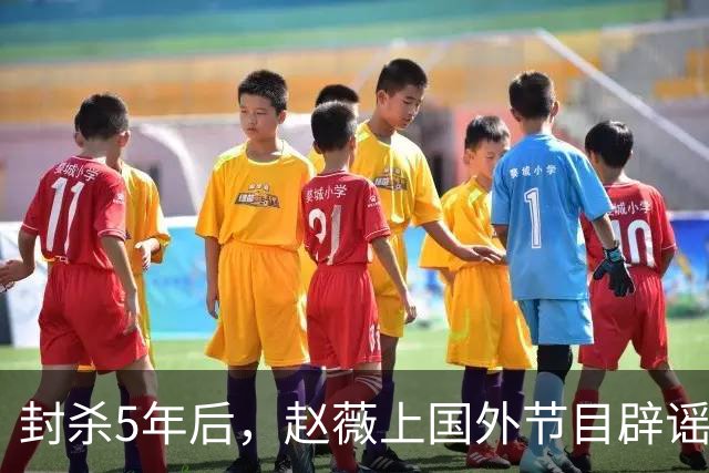 封杀5年后，赵薇上国外节目辟谣，称喜欢目前生活，处境却太尴尬