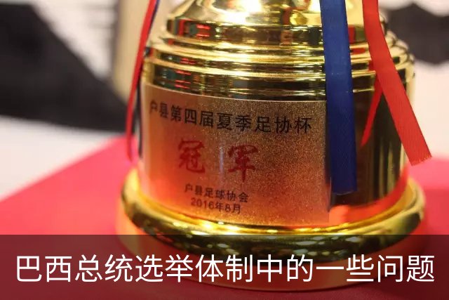 巴西总统选举体制中的一些问题
