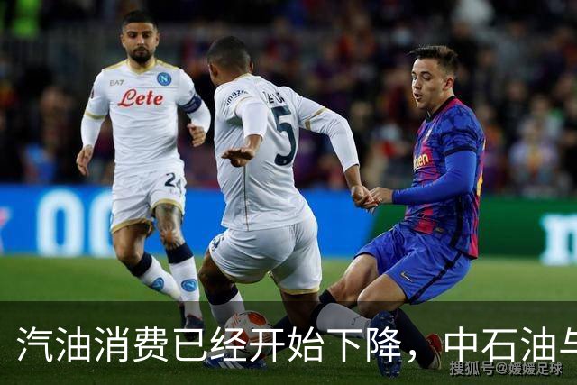 汽油消费已经开始下降，中石油与中石化为何还要大举扩建加油站？