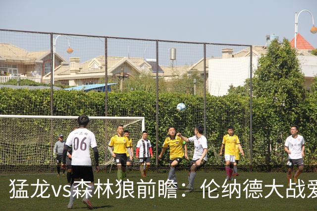 猛龙vs森林狼前瞻：伦纳德大战爱德华兹，一场不同风格的强硬对决