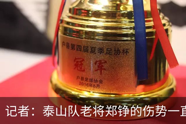 记者：泰山队老将郑铮的伤势一直有反复，需要手术根治一下